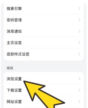 啵啵浏览器12