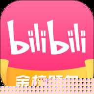 哔哩哔哩会员购