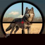 阿尔法狼群狩猎