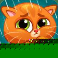 我的虚拟宠物猫