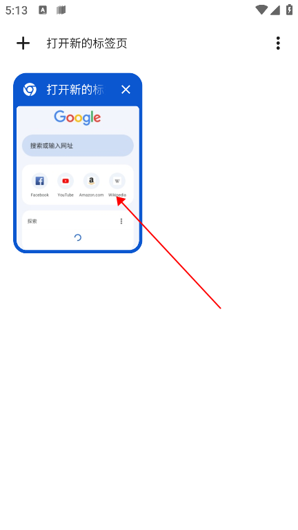 谷歌chrome浏览器11