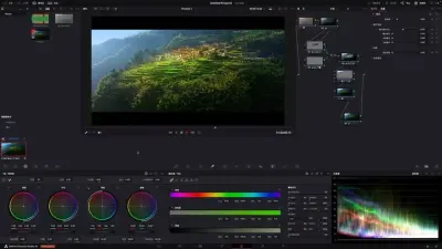 免费观看调色大片视频软件