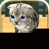 猫猫模拟器