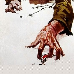 铁锈战争帝国雄鹰