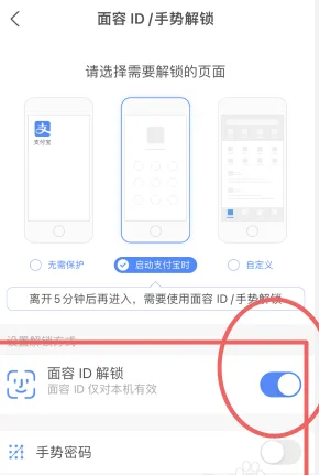 支付宝小米定制版10