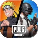 PUBG亚服