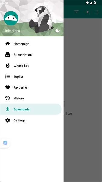 ehvierwer绿色版5