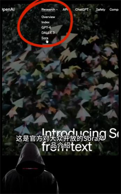 sora Sora1