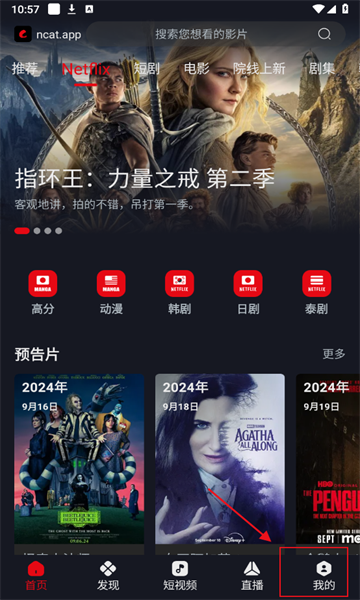网飞猫1