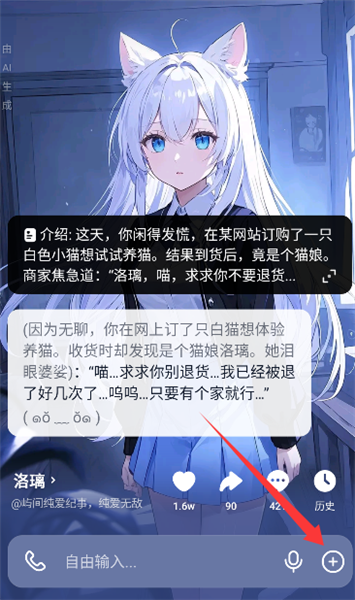 猫箱12