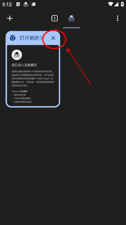 谷歌浏览器googlechrome10