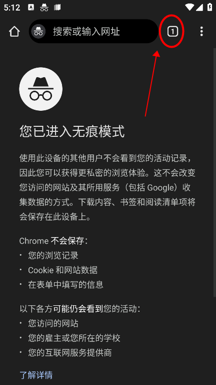 谷歌浏览器海外版9
